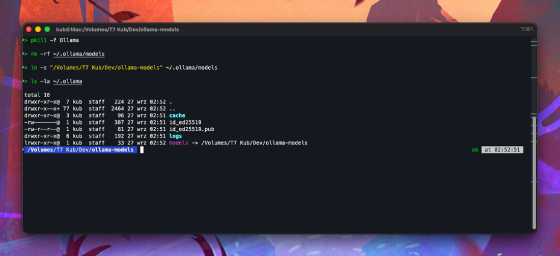Terminal z widocznym symlinkiem models wskazującym na dysk zewnętrzny SSD